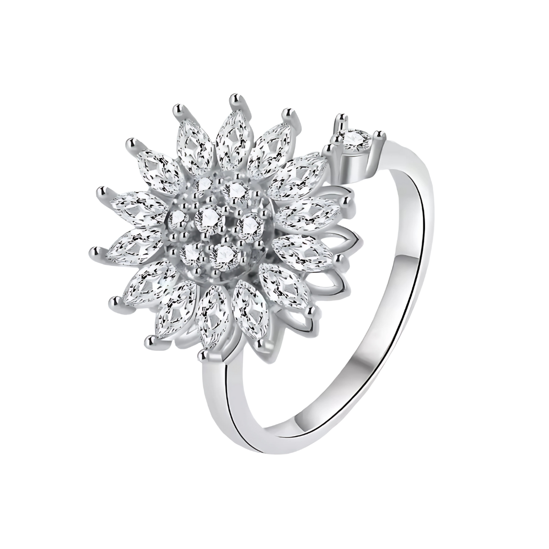 Calm ring | fidget ring | anxiety ring | zilver