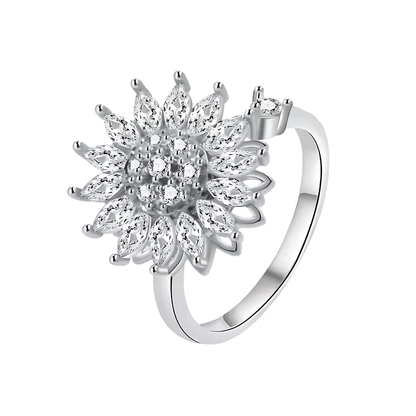 Calm ring | fidget ring | anxiety ring | zilver